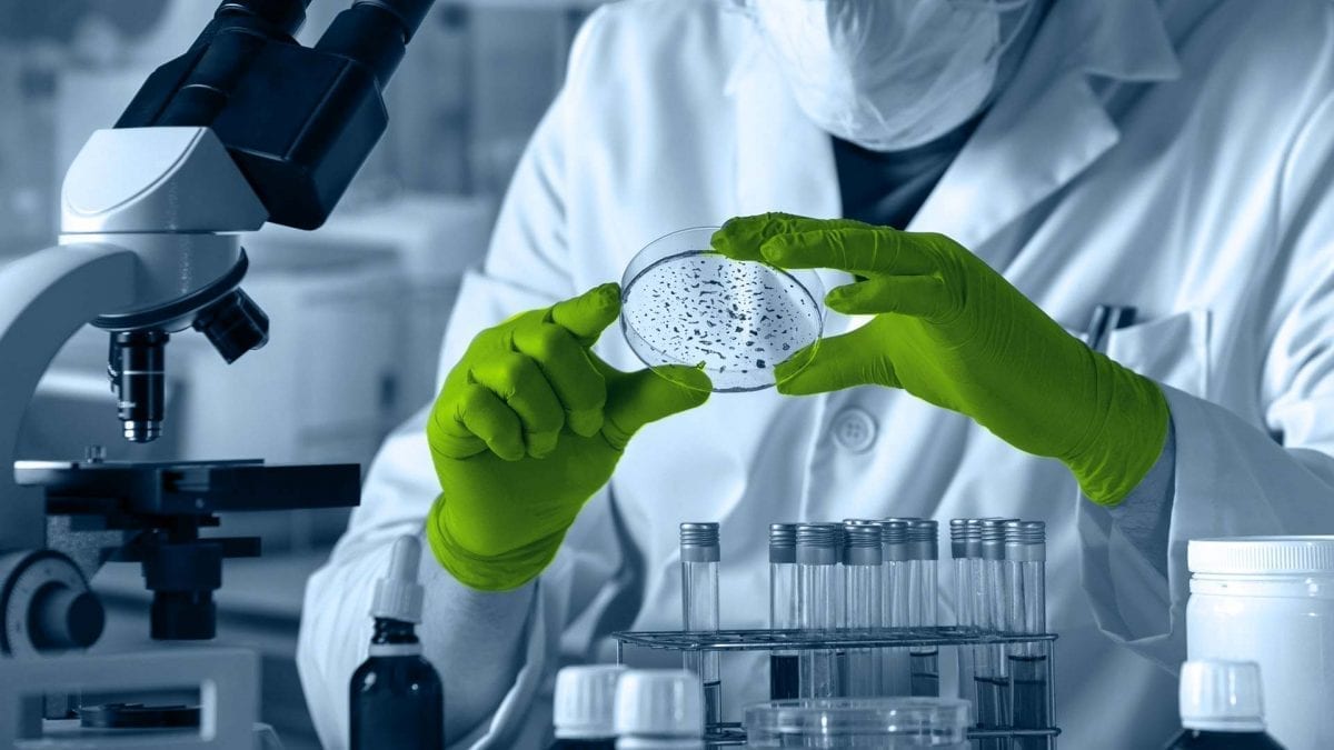  Claranor Pulsed Light Sterilization for Beverages, dairy, pharmacosmetic