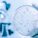 Microbiology petri dish