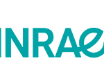 INRAe Pulsed light, Pulsed light sterilization