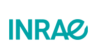 INRAe Pulsed light, Pulsed light sterilization